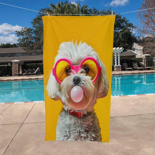 Dogs are not allowed!